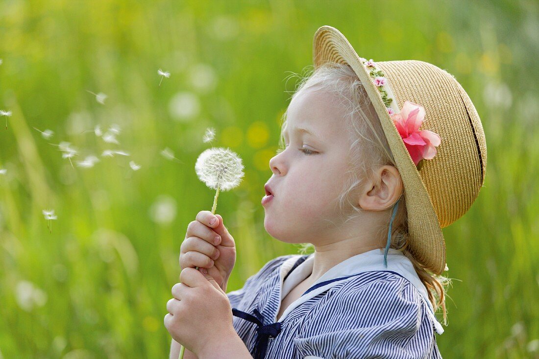 Blonde little girl blowing on a dandelion clock