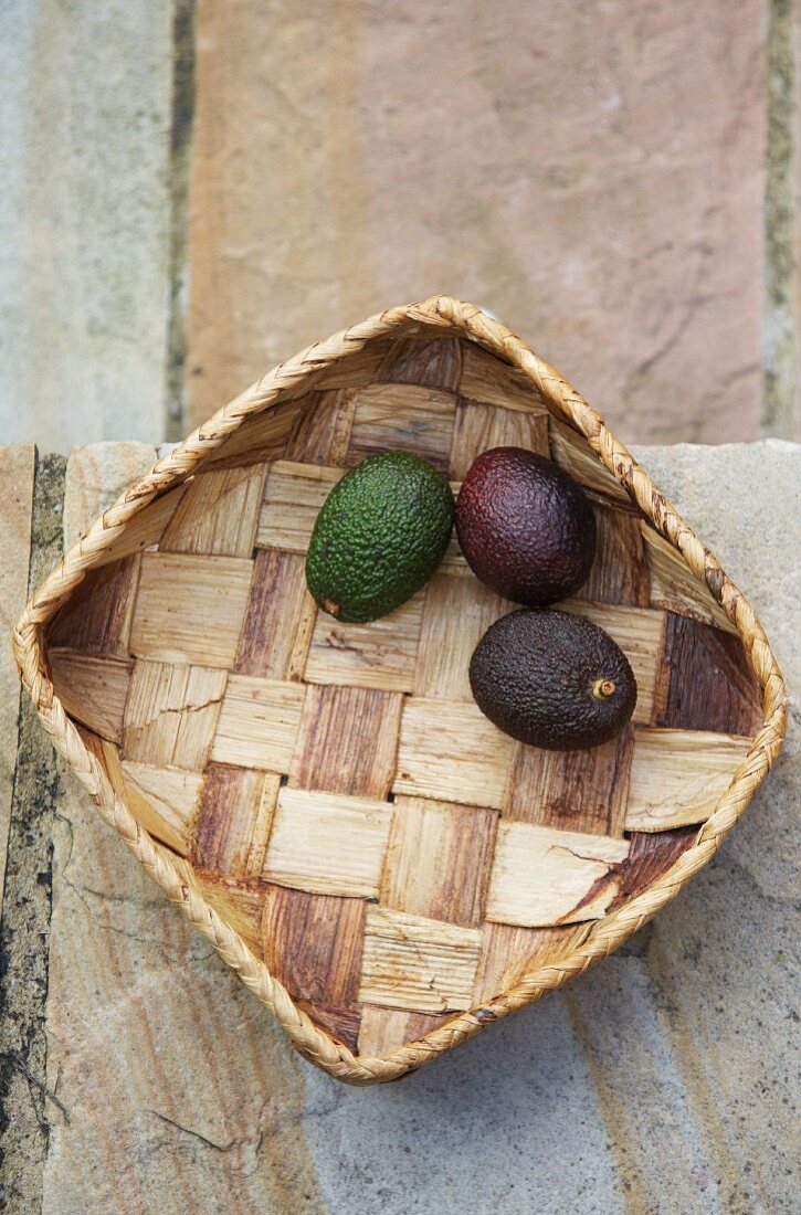 Three avocados in a basket