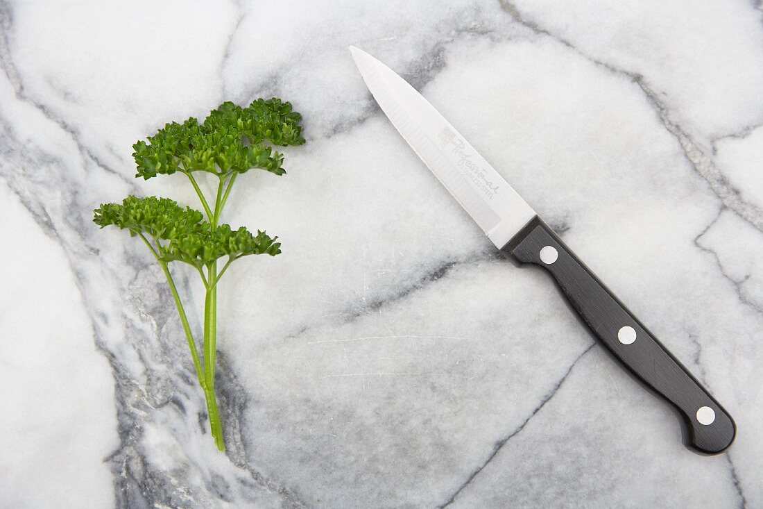 Curly parsley and a knife on a marble slab