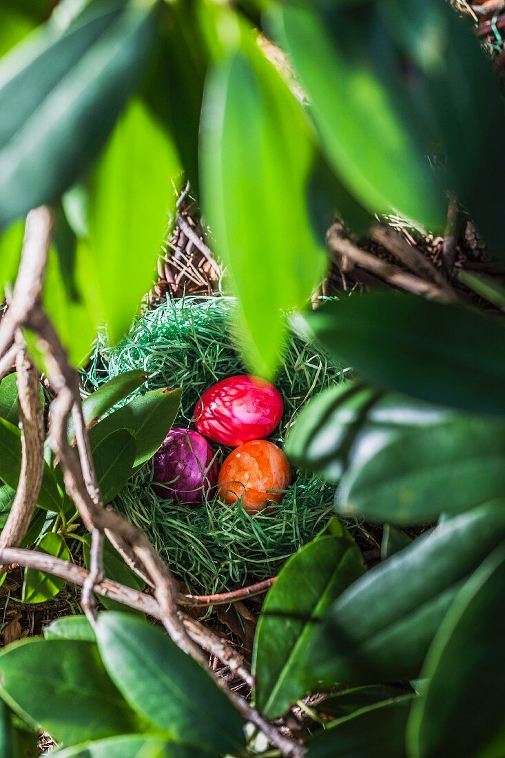 Coloured eggs, for Easter, in a hidden nest in the garden