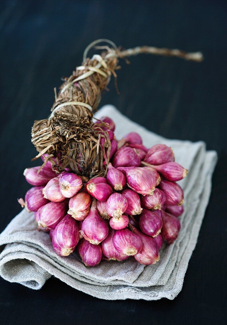 Shallots tied in a bundle, on a cloth