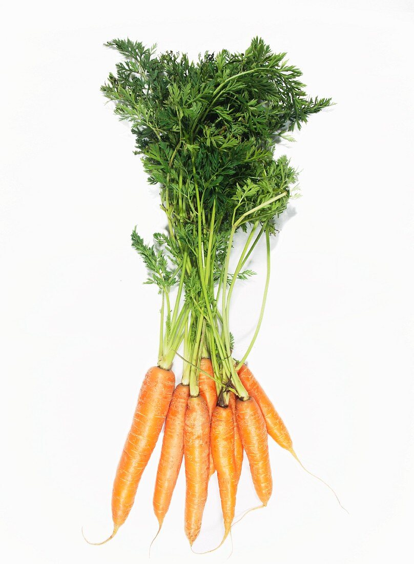 Fresh carrots