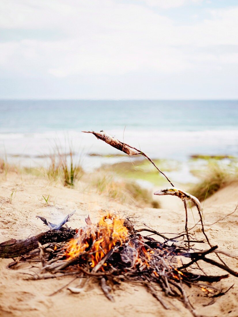 Grillfische auf Holzstöcken über dem Lagerfeuer am Strand