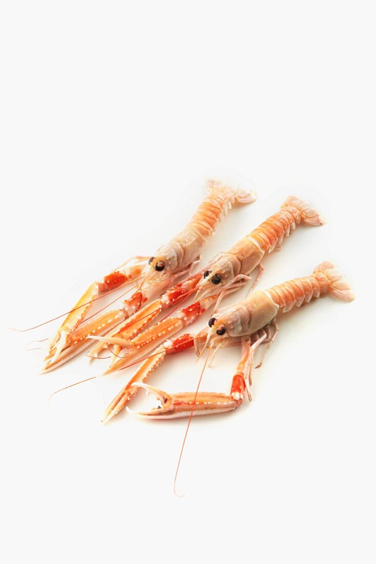 Three langoustines