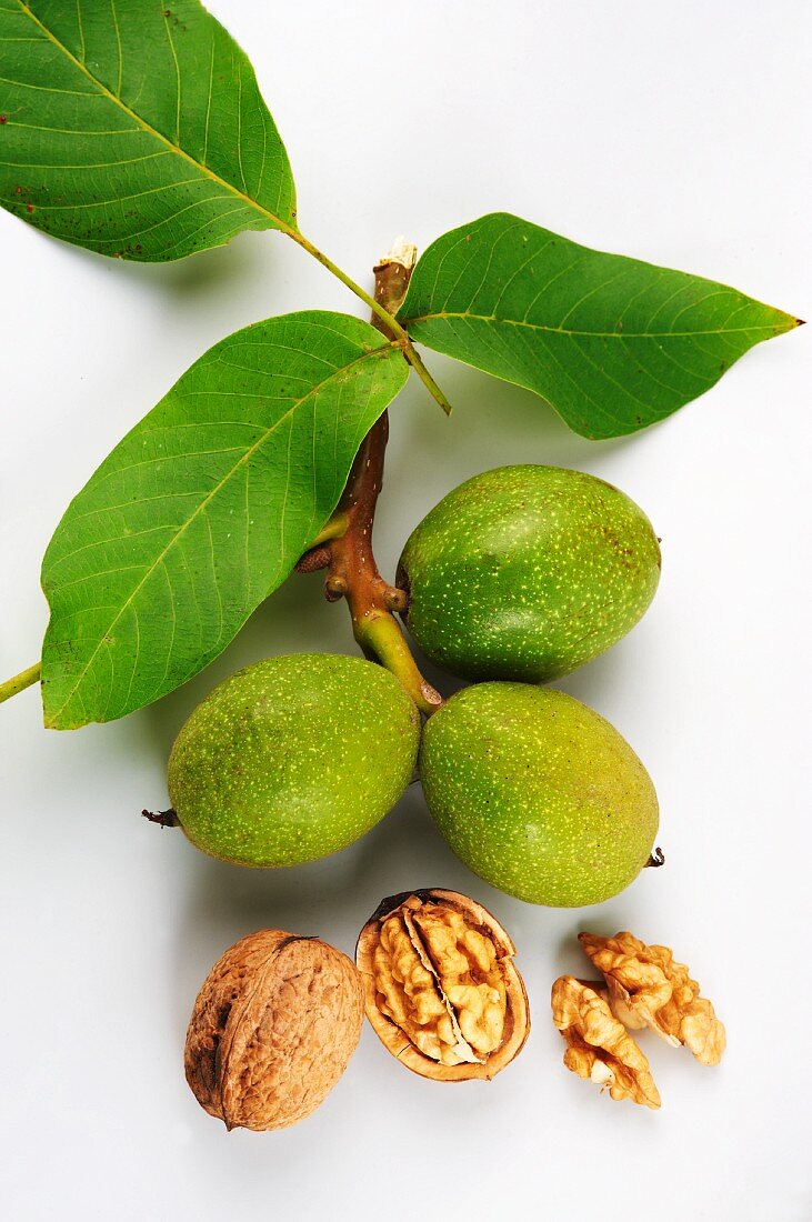 Green and dried walnuts