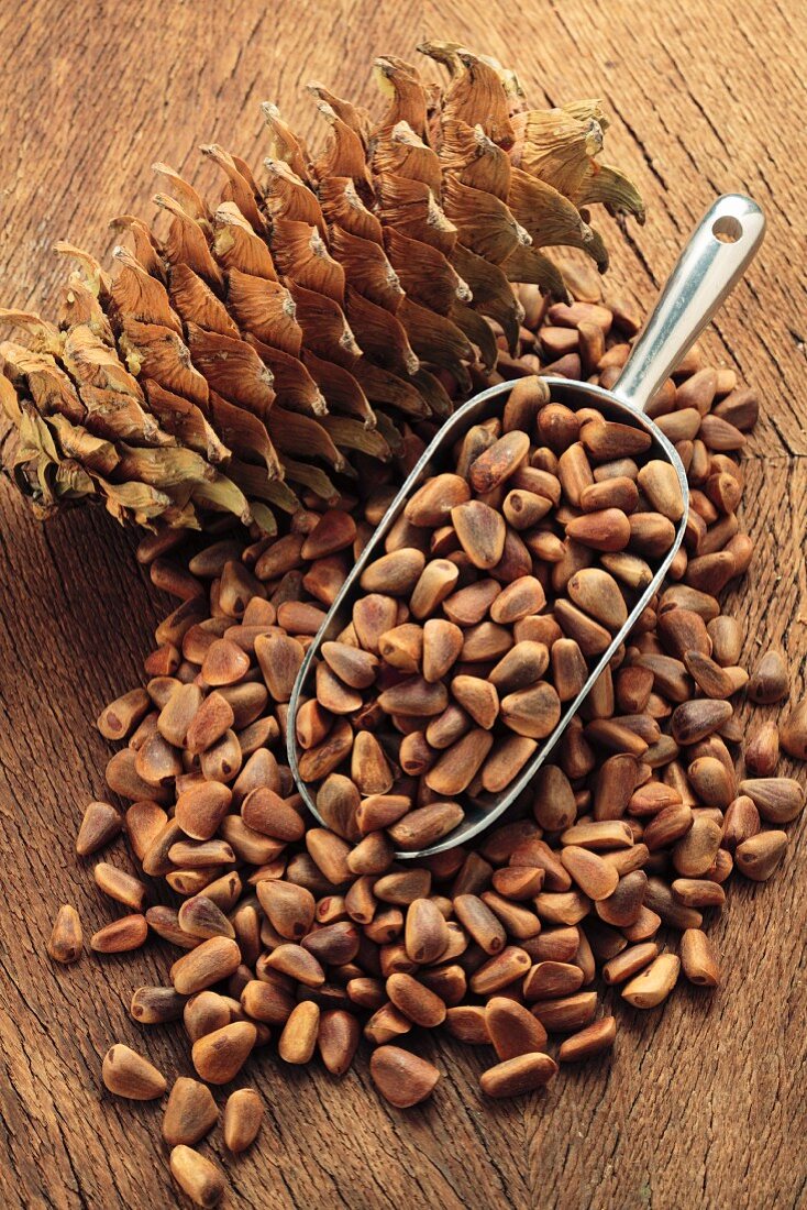 Unpeeled pine nuts and a pine cone