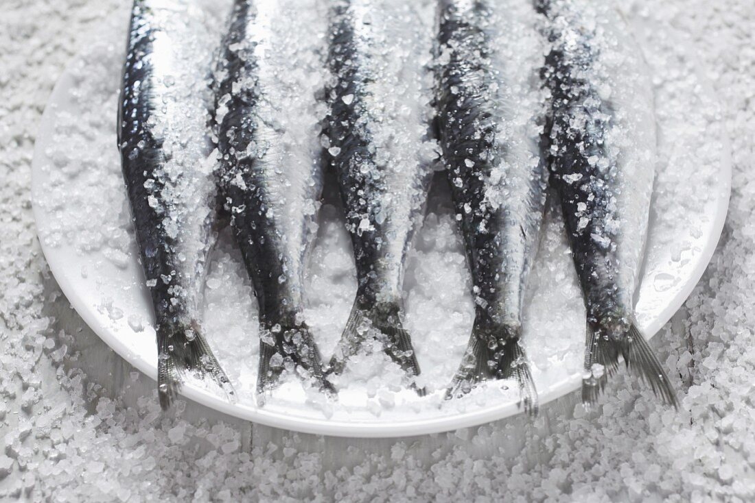 Sardines covered in salt