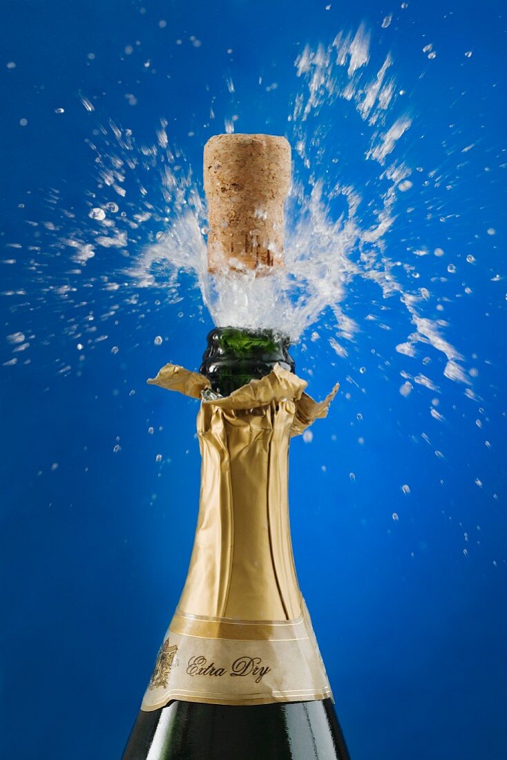 Close up of champagne cork popping – License Images – 11161566 ❘ StockFood