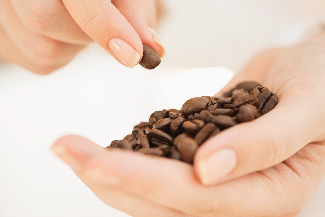 Coffee beans on woman's hand