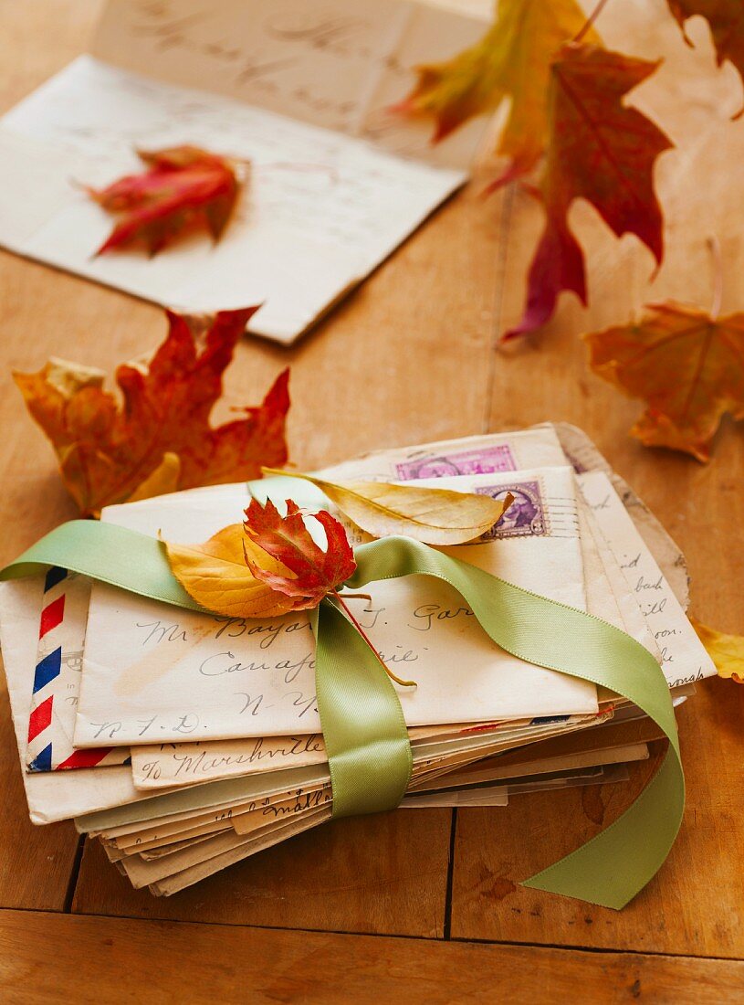 Autumn leaves on letters, studio shot