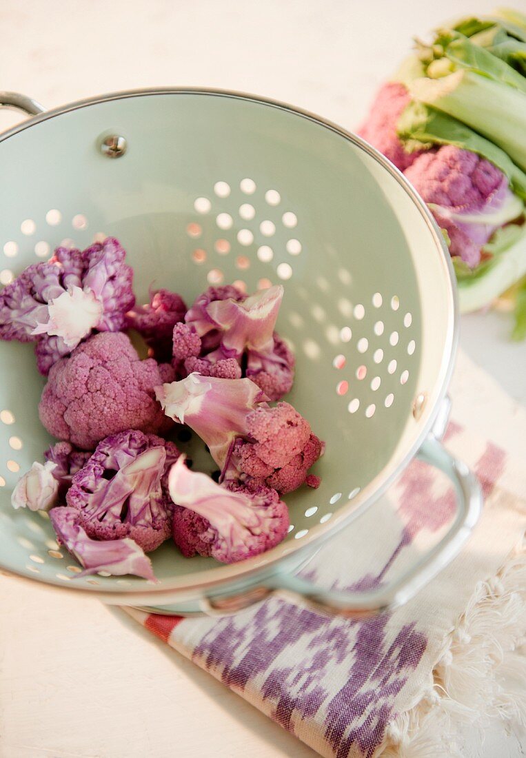 Studio shot of cauliflower in colander