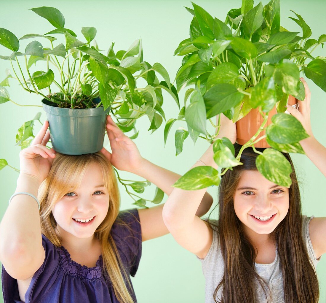 Two girls carrying potted plants on heads