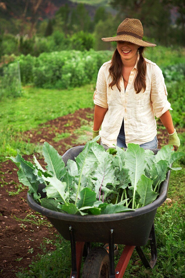 Young woman pushing wheelbarrow in field