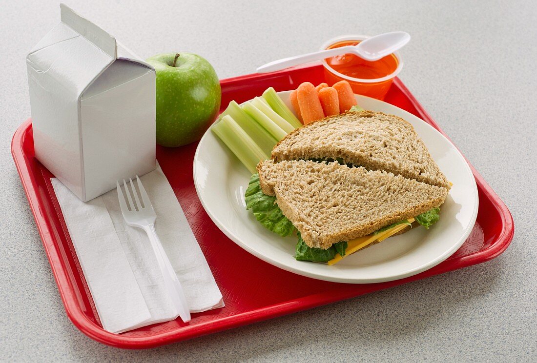 School lunch on tray