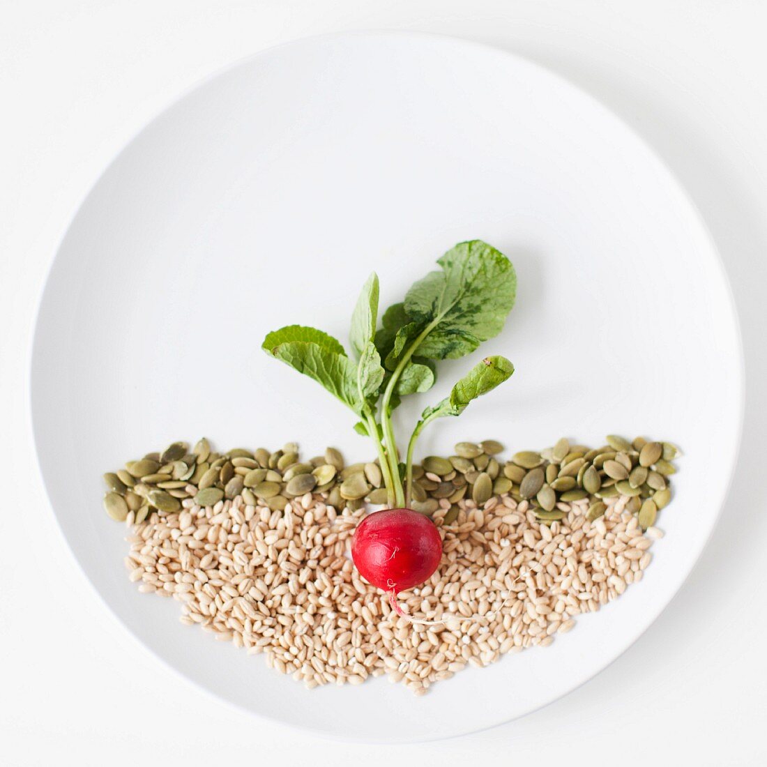 Foodbild mit Radieschen und Samen