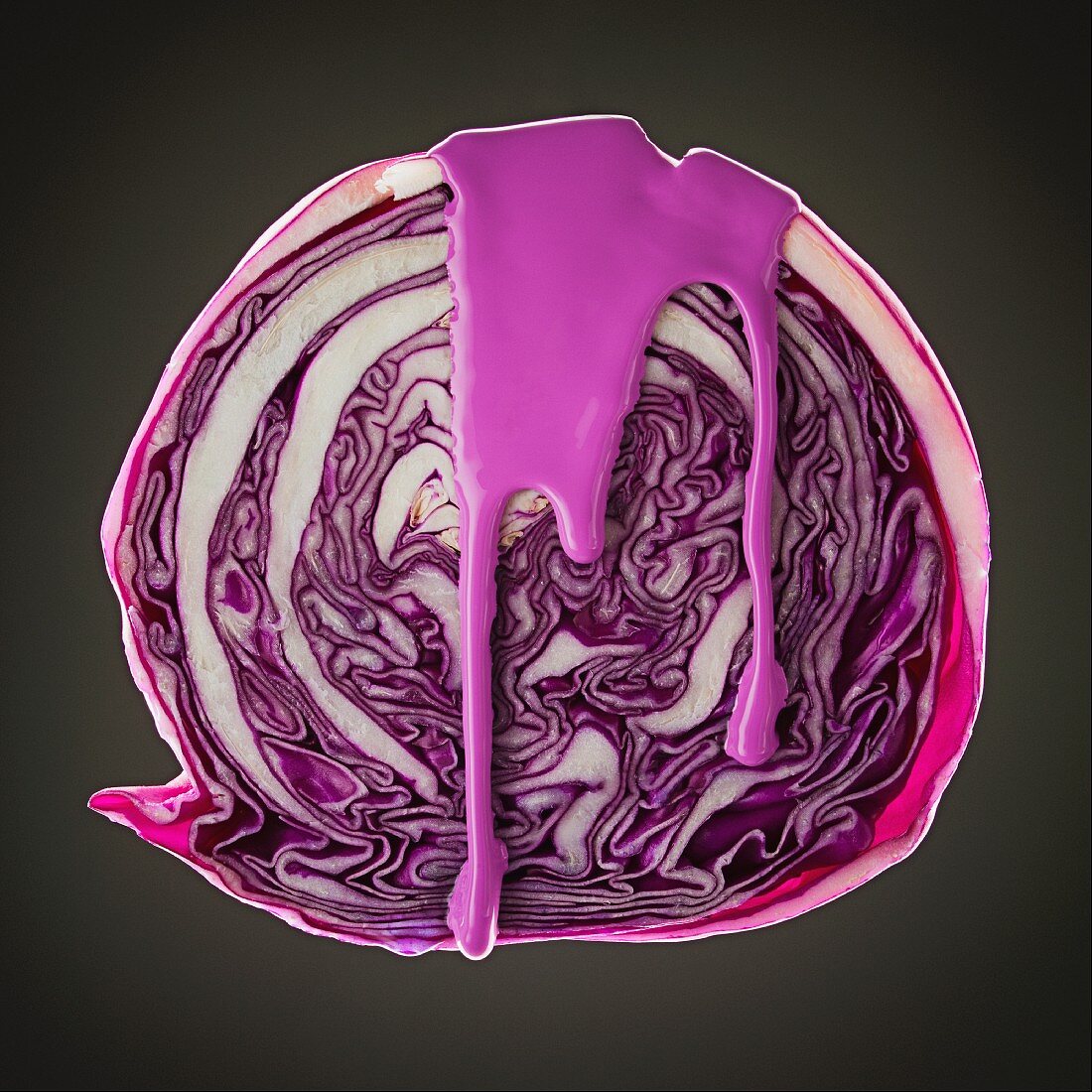 Studio shot of red cabbage covered with purple paint