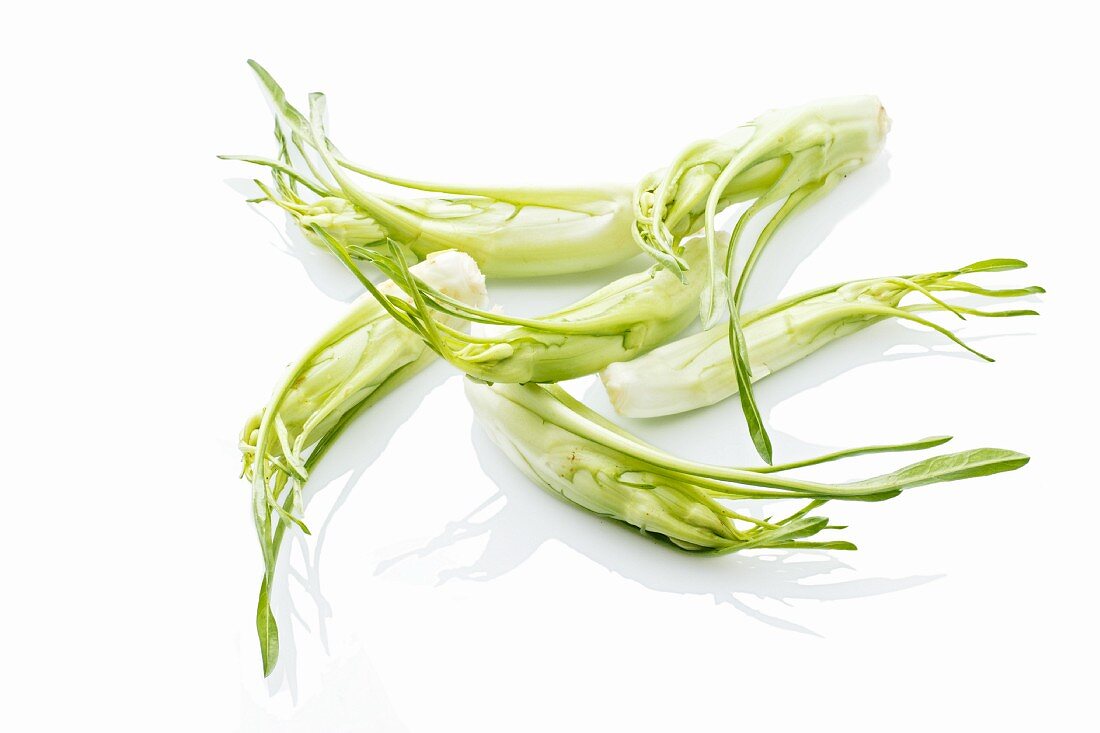 Puntarelle (variety of chicory) hearts