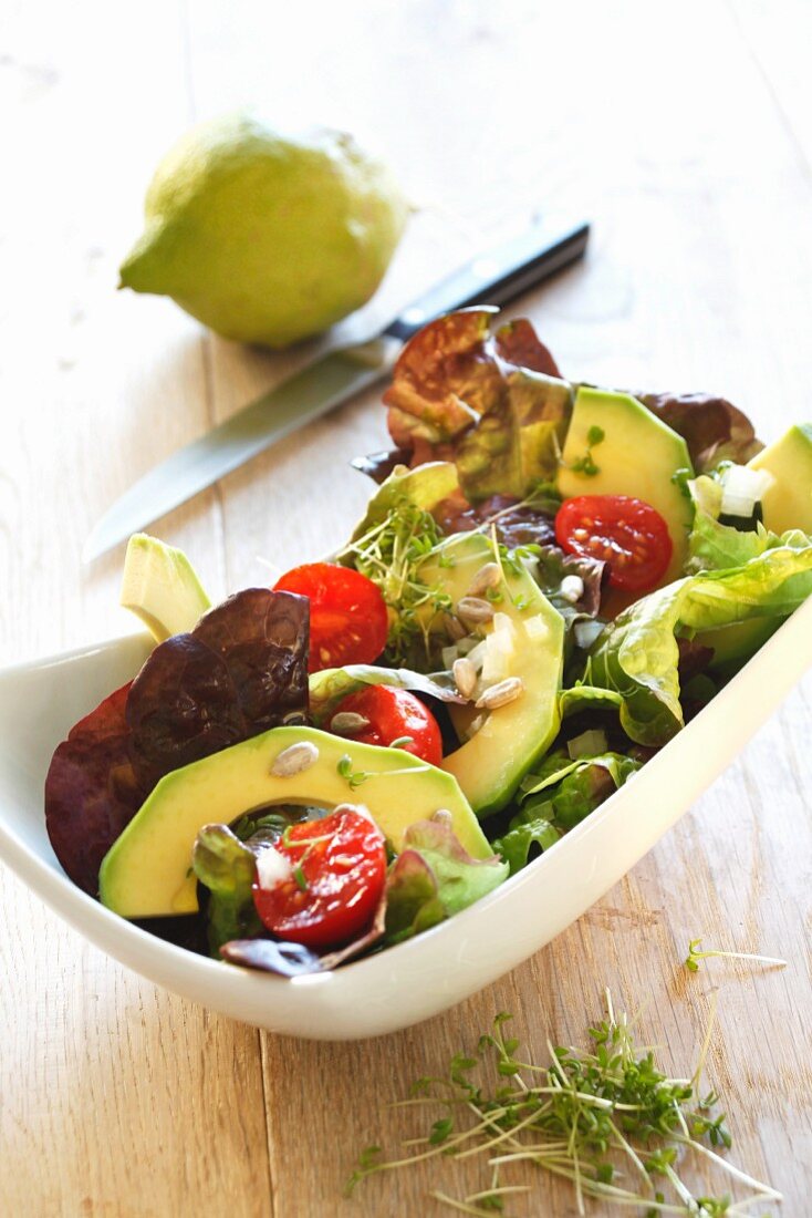 Green salad with avocado and tomatoes