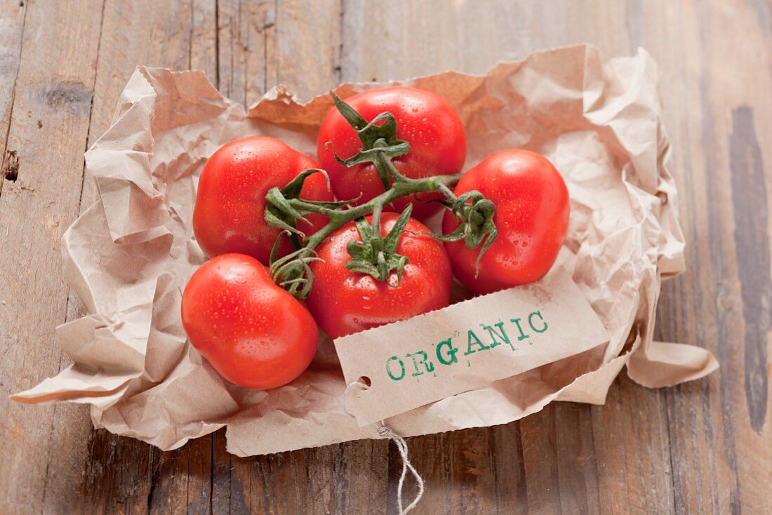 Fresh, organic tomatoes on paper