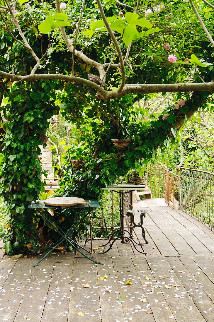 Vintage metal table on wooden terrace in garden with dense vegetation