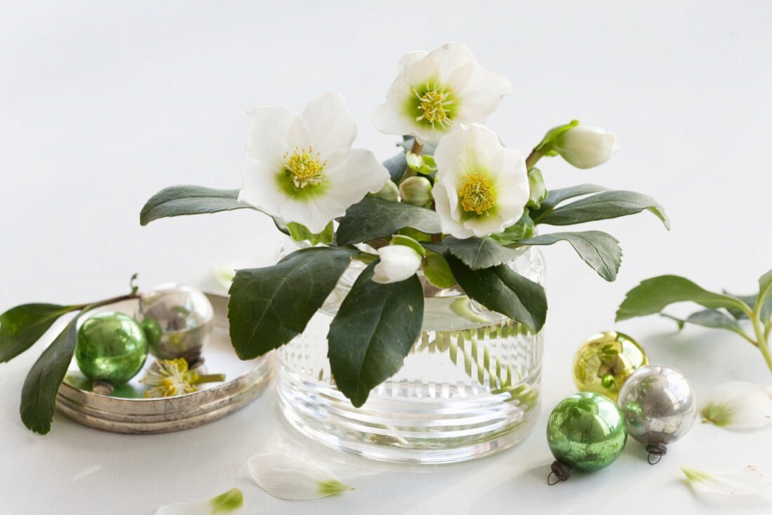 Posy of hellebores and Christmas tree baubles