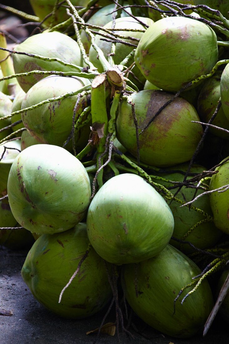 Grüne Kokosnüsse