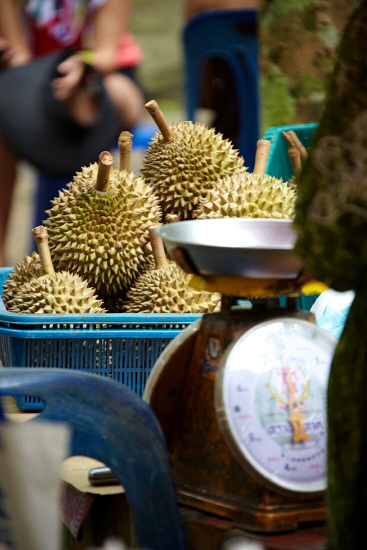 Market stall with durian fruit