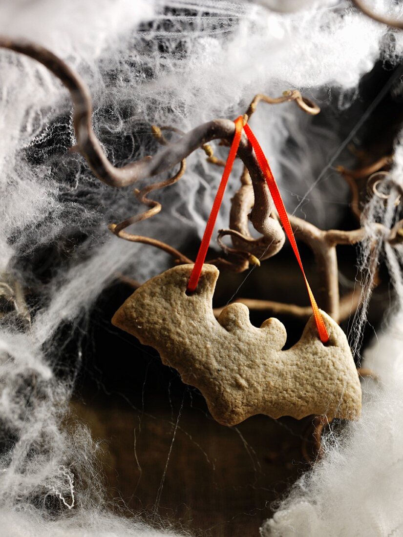 'Bat' cookie ornament in the fog
