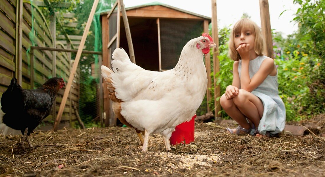 Germany, Brandenburg, Girl on hen farm