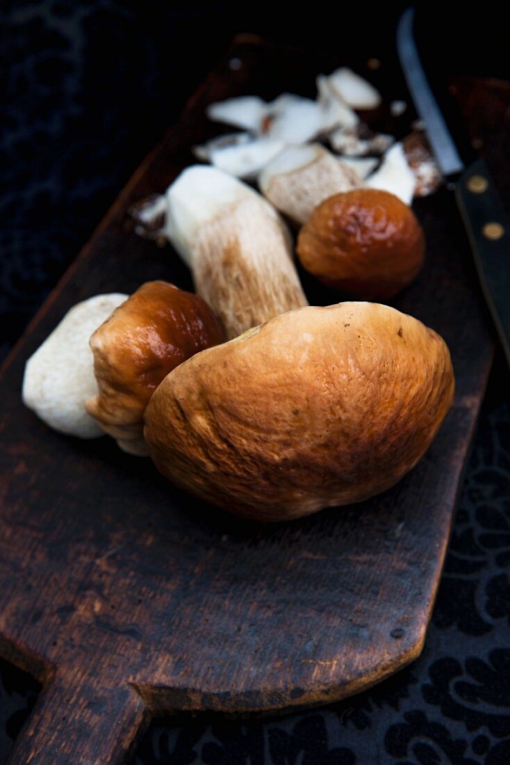 Fresh porcini mushrooms on a rustic scoop