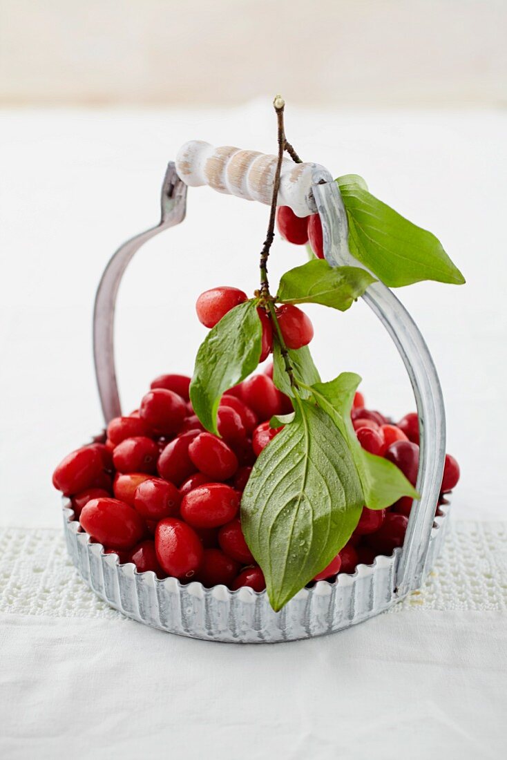 Close up of cornel cherries in basket