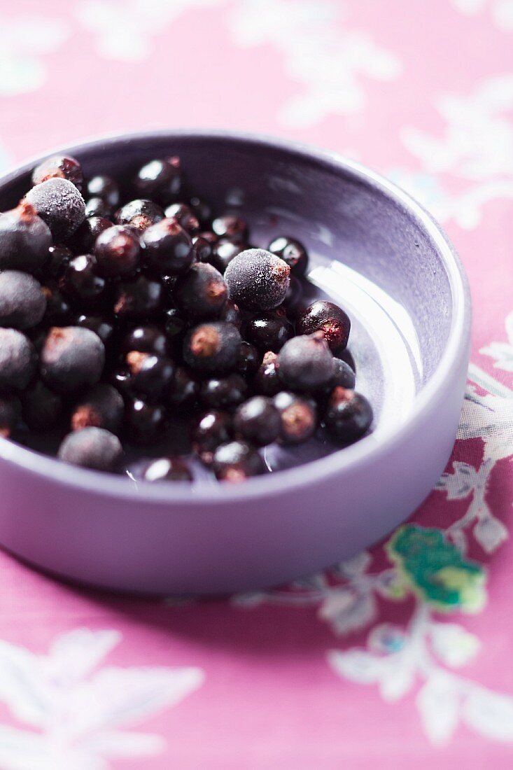 Schwarze Johannisbeeren in einer Schale