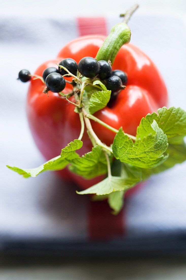 A red pepper with black currants