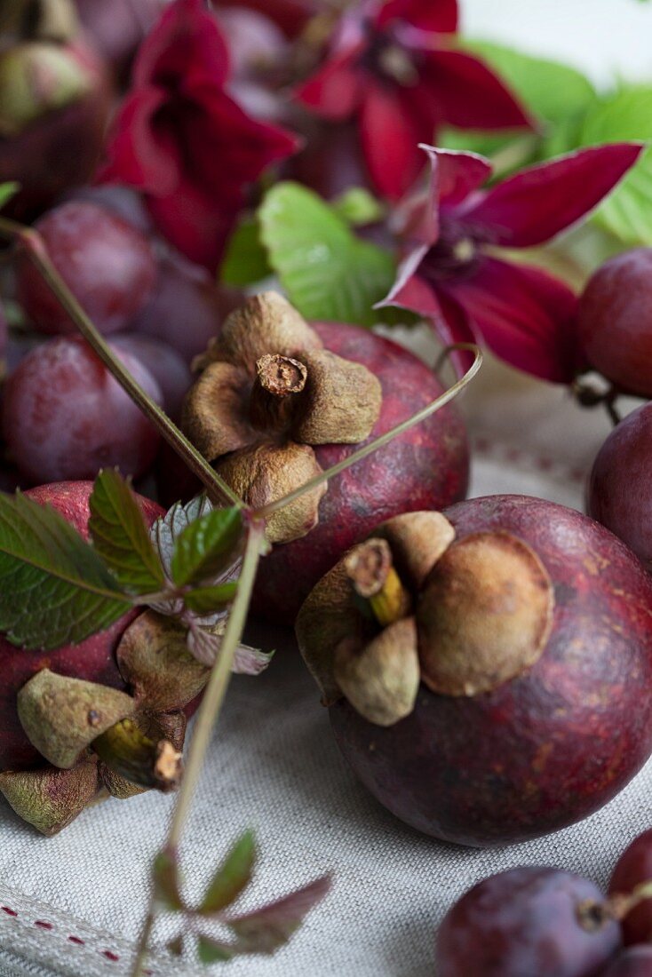 Mangosteens