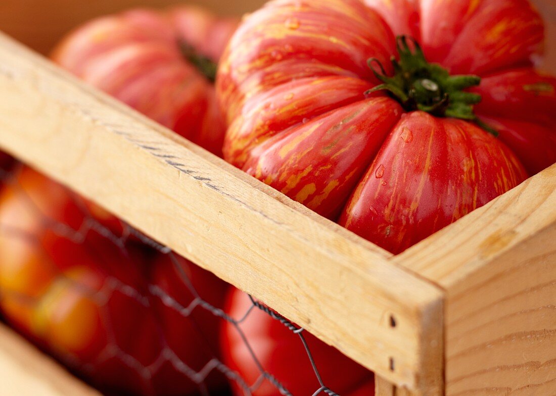 Heirloom Tomaten in Holzkiste