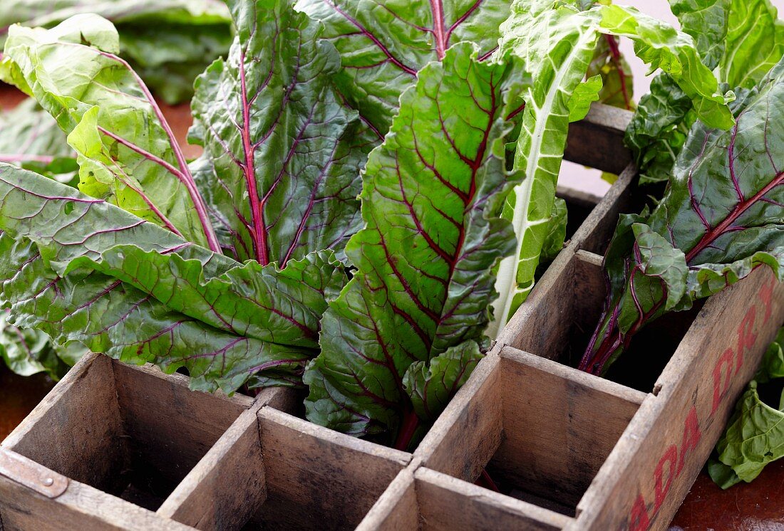 Fresh Swiss Chard in Divided Wooden Crate