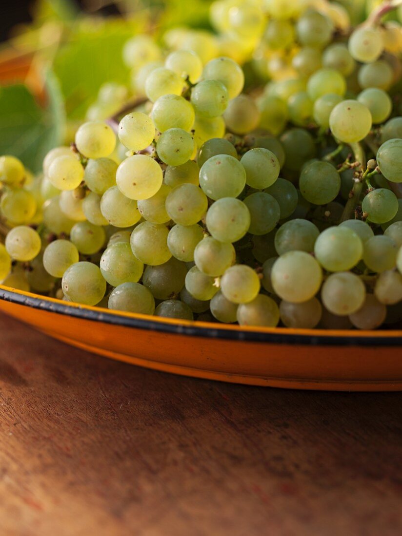 Platter of Grapes