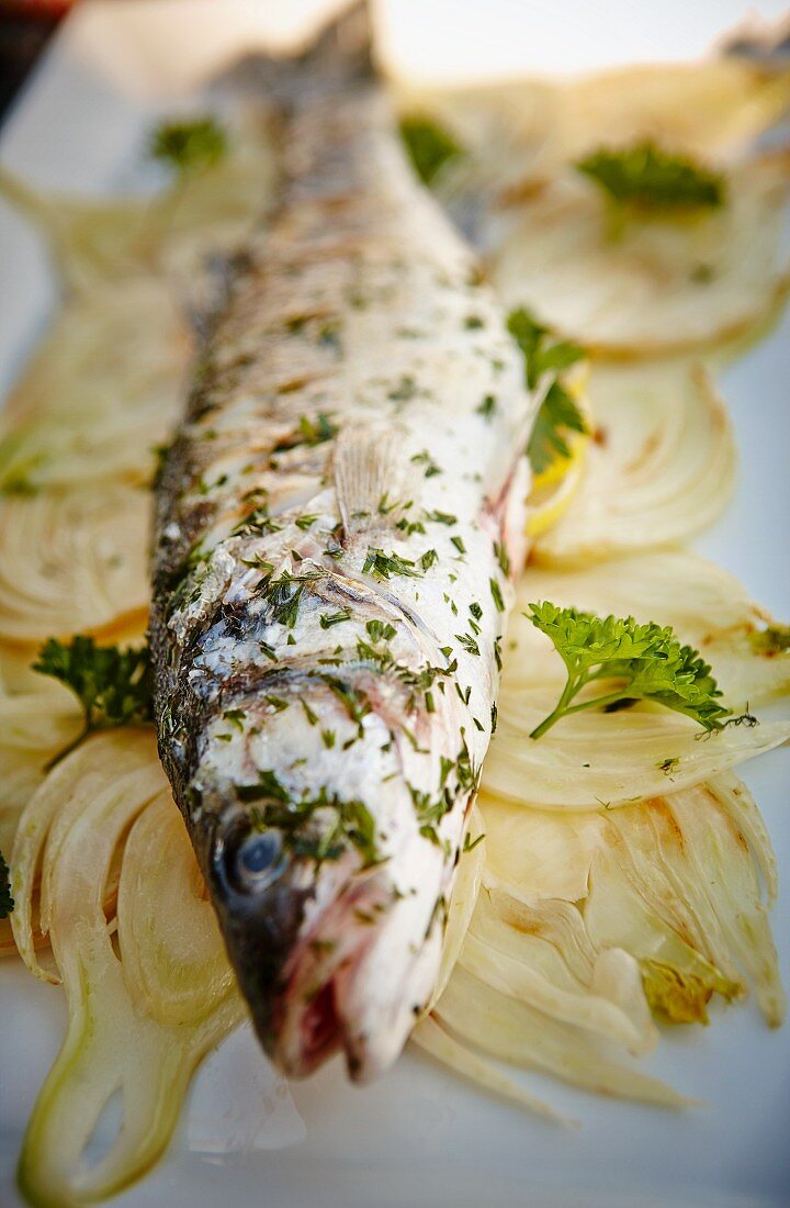 Baked bass with parsley and lemon on a bed of fennel