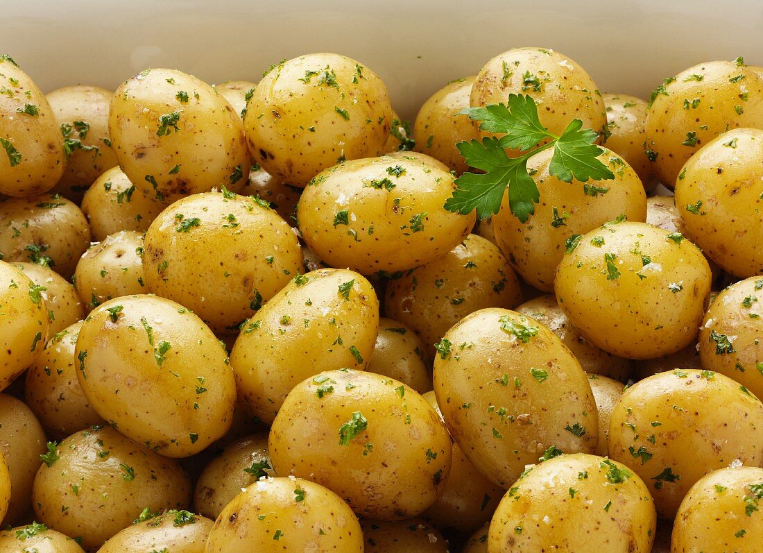 Vildmose potatoes with parsley