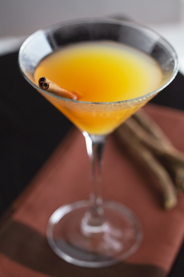 Autumn Orange Martini with a Cinnamon Stick