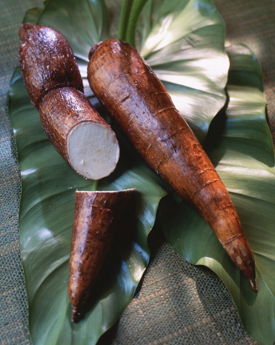 Cassava roots on top of leaves