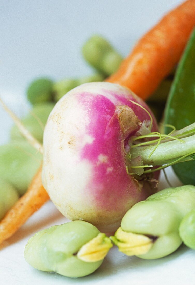 Variety of mixed spring vegetables on white table