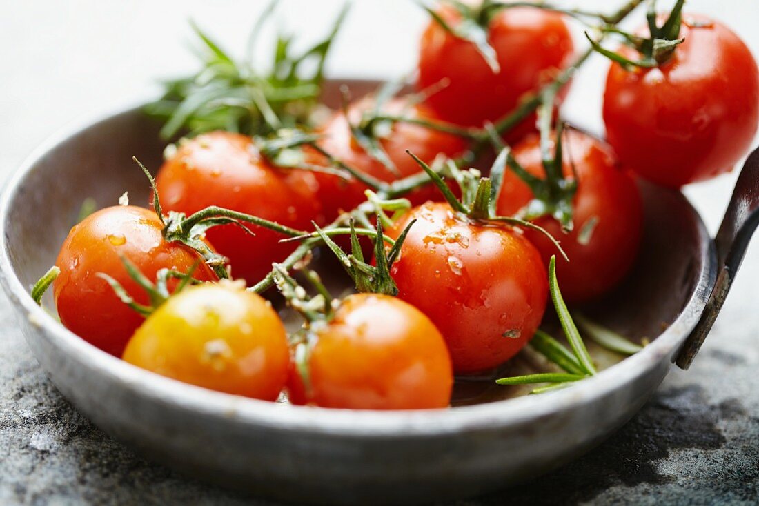 Tomatoes on the vine, seasoned and in the pan