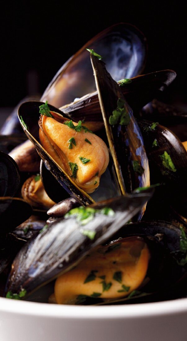 Steamed mussels with herbs (close-up)