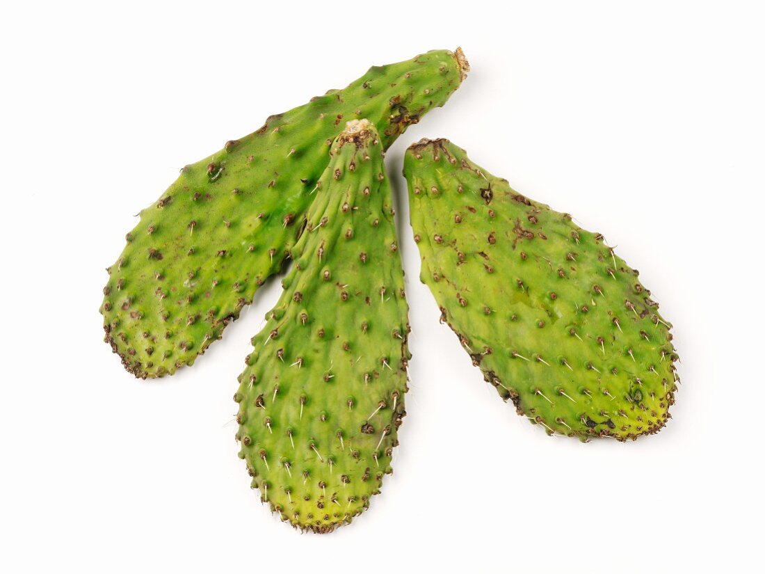 Three nopales cactus leaves