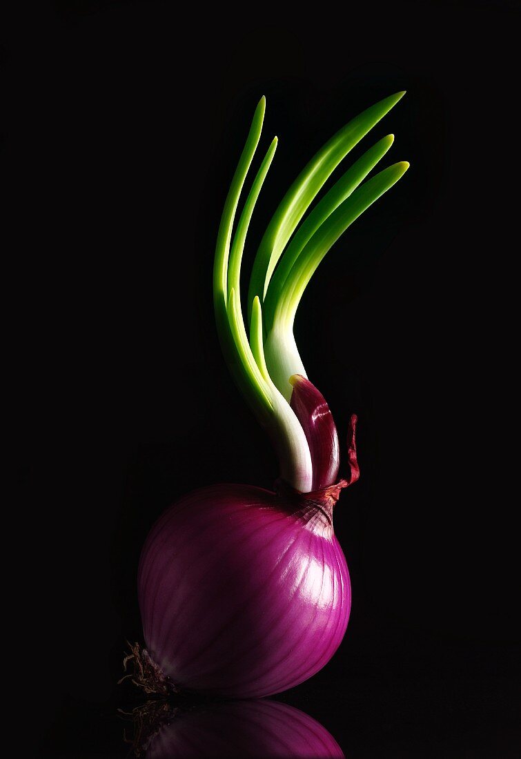 A red onion