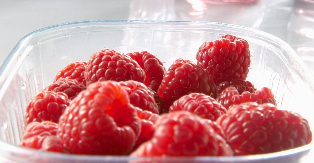 Lots of raspberries in a plastic pot