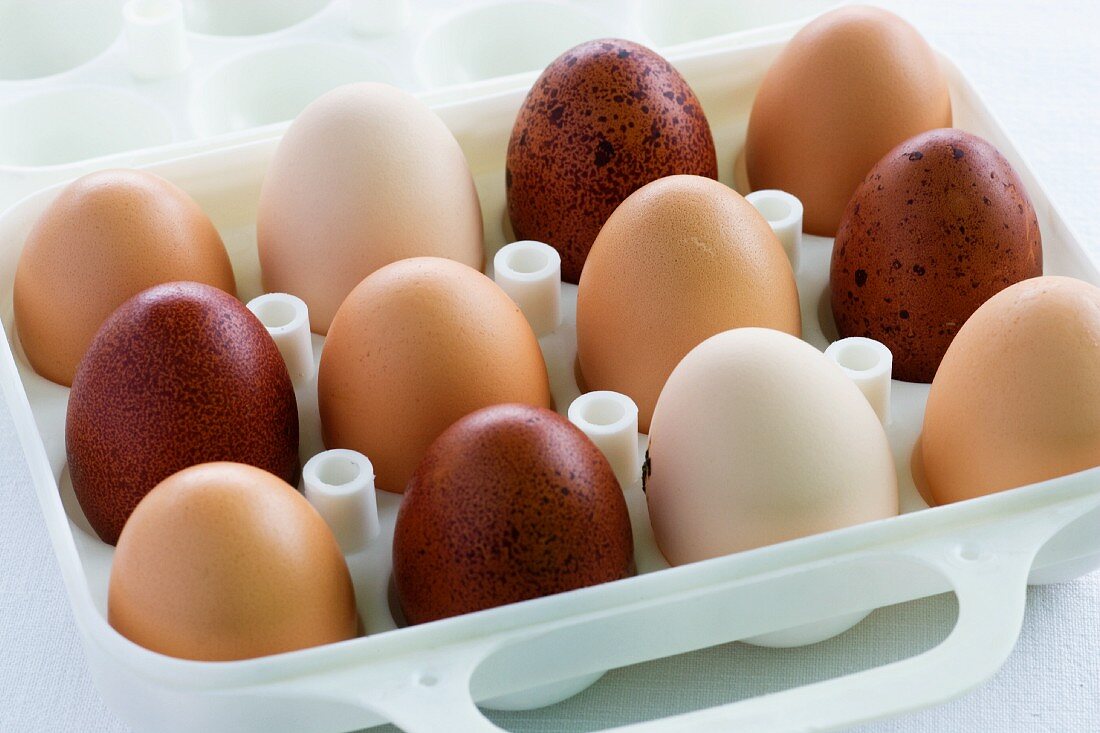 weiße und braune Eier in einem Behälter