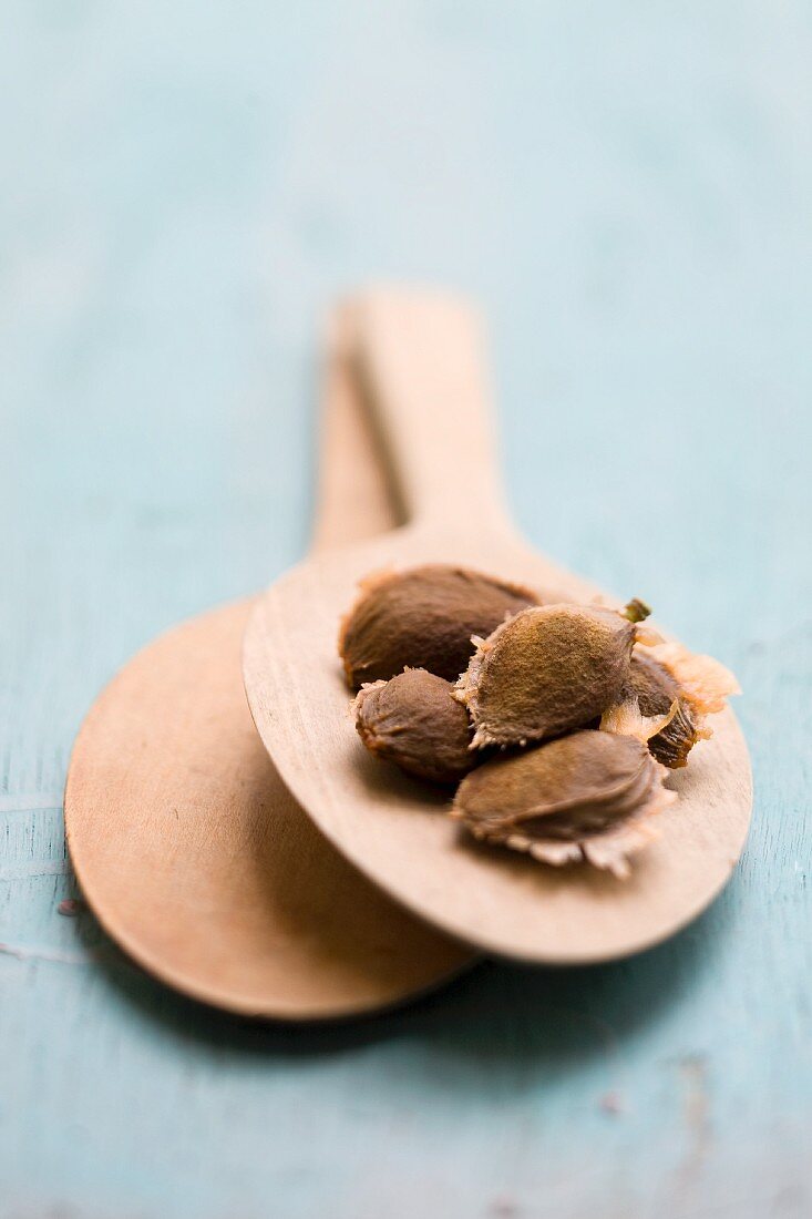 Several apricot stones on a wooden spoon