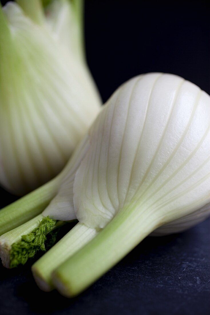 Two fennel bulbs